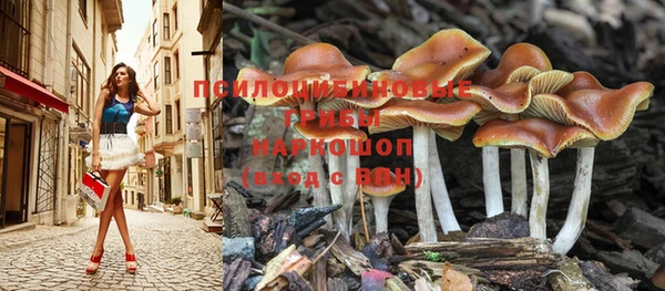 спиды Наволоки