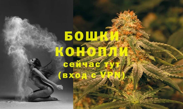 ПСИЛОЦИБИНОВЫЕ ГРИБЫ Чердынь