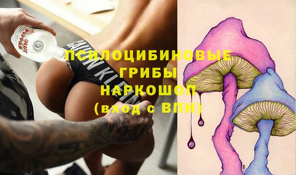 гашик Надым