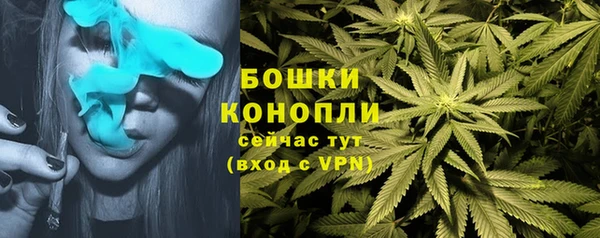 гашик Надым