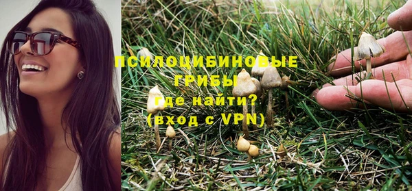 гидропоника Вязьма