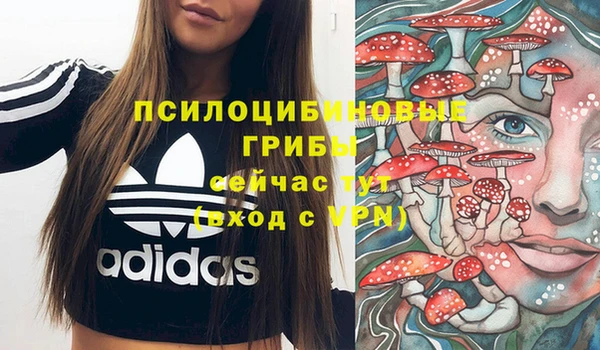 гашик Надым