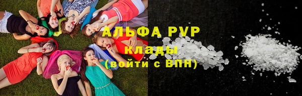 гашик Надым