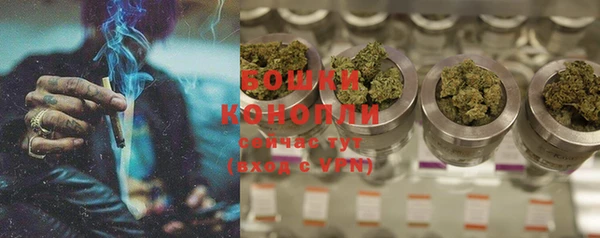 стафф Чекалин